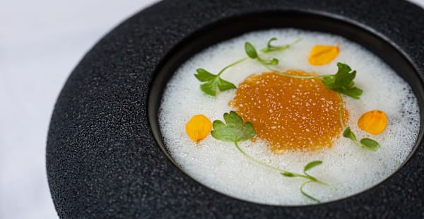 d&eacute;couvrez une cuisine contemporaine raffin&eacute;e au c&oelig;ur du 10e arrondissement de paris. des saveurs modernes, des ingr&eacute;dients frais et un cadre &eacute;l&eacute;gant vous attendent pour une exp&eacute;rience culinaire unique dans le 75010.