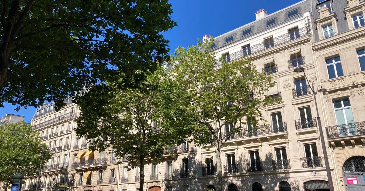 d&eacute;couvrez les principaux &eacute;cueils &agrave; &eacute;viter lors d&rsquo;une r&eacute;novation &agrave; paris 75010 et b&eacute;n&eacute;ficiez de conseils pour r&eacute;ussir votre projet immobilier en toute s&eacute;r&eacute;nit&eacute;.